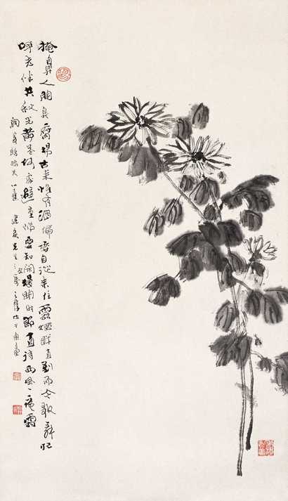 沈子丞 菊花 立轴